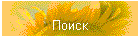 Поиск