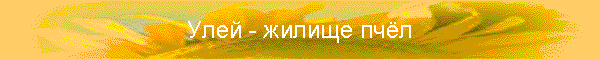Улей - жилище пчёл