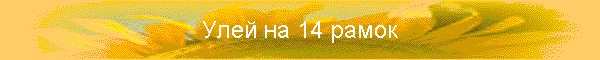 Улей на 14 рамок