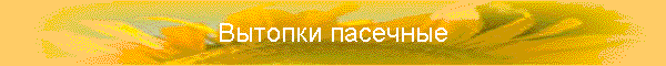 Вытопки пасечные
