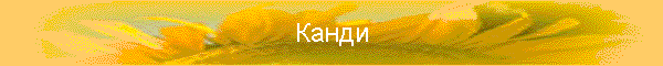 Канди