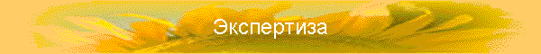 Экспертиза
